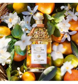 Aqua Allegoria Harvest - Mandarine Basilic - Eau de Toilette Aqua Allegoria Harvest - Mandarine Basilic - Eau de Toilette